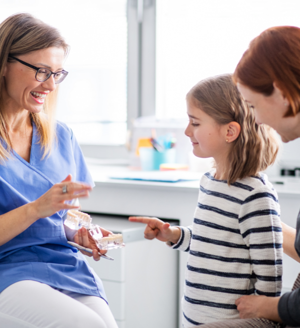 A dentist in an office showing a display of teeth to a young girl and an adult woman